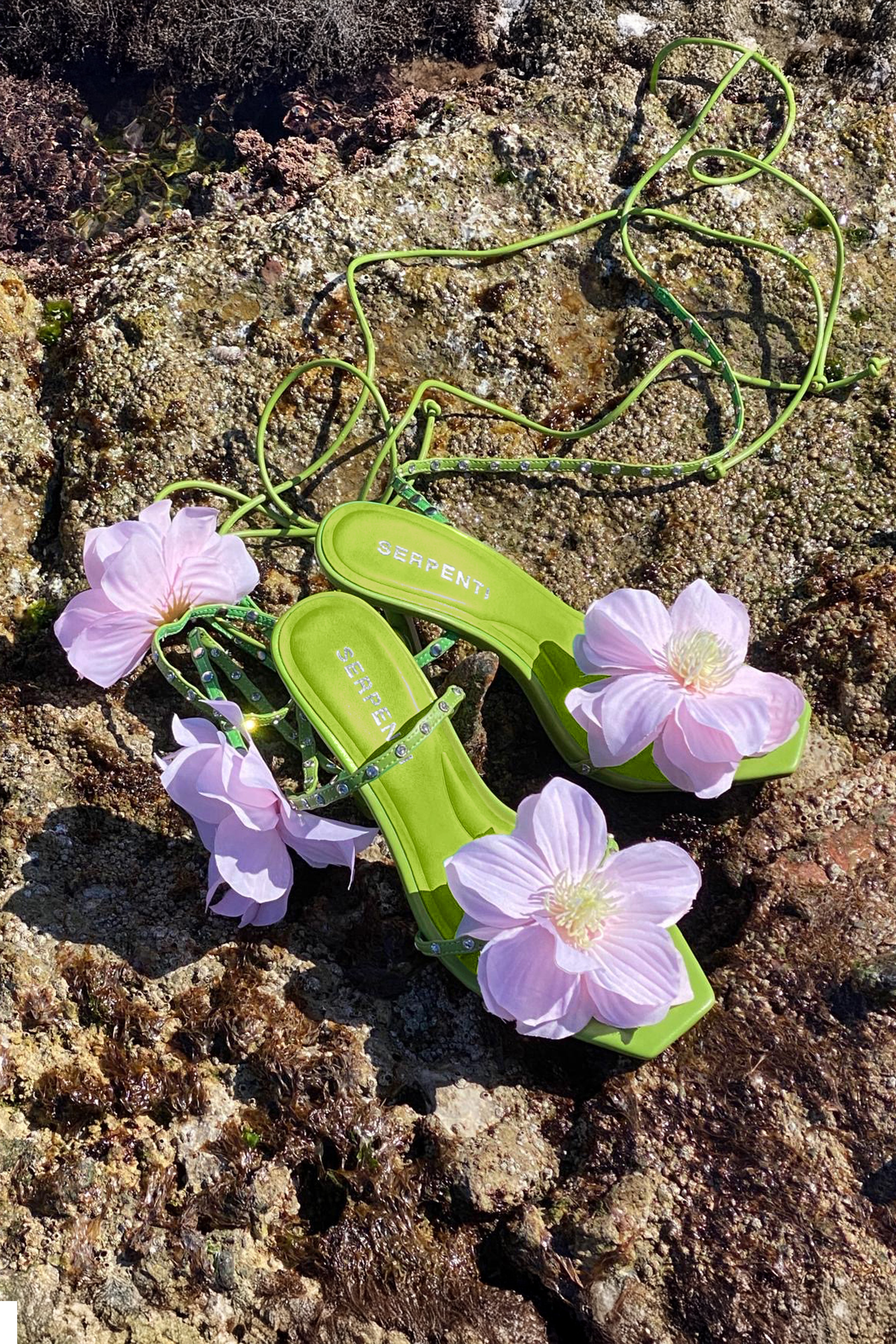 The Paradiso Heel I Watermelon
